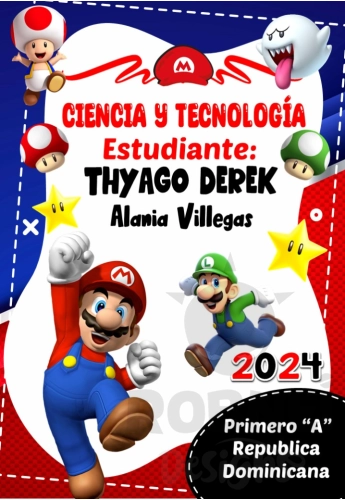 Mario Bros Caratula 04